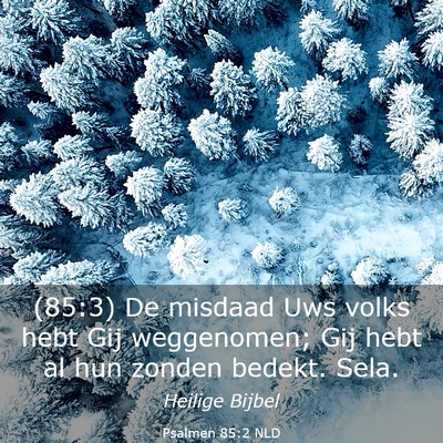 Picture 03 - Psalmen 85:2 NLD - (85:3) De misdaad Uws volks hebt Gij weggenomen; - Bible Verse Picture