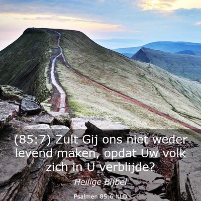 Picture 03 - Psalmen 85:6 NLD - (85:7) Zult Gij ons niet weder levend maken, - Bible Verse Picture