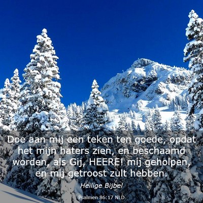 Picture 03 - Psalmen 86:17 NLD - Doe aan mij een teken ten goede, opdat het mijn - Bible Verse Picture