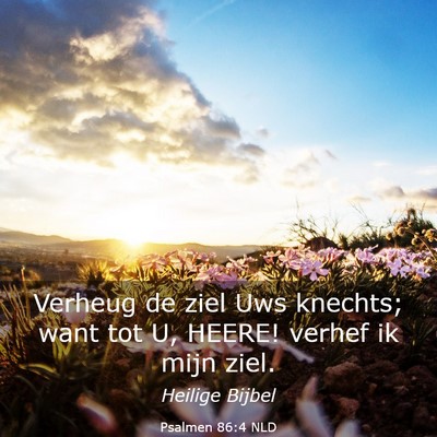 Picture 03 - Psalmen 86:4 NLD - Verheug de ziel Uws knechts; want tot U, HEERE! - Bible Verse Picture