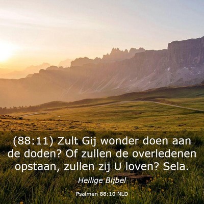 Picture 03 - Psalmen 88:10 NLD - (88:11) Zult Gij wonder doen aan de doden? Of - Bible Verse Picture