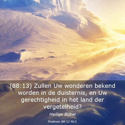 Picture 03 - Psalmen 88:12 NLD - (88:13) Zullen Uw wonderen bekend worden in de - Bible Verse Picture