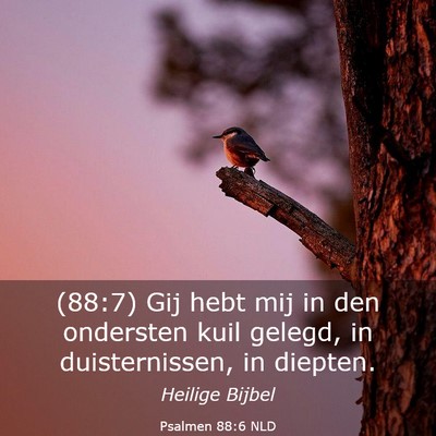 Picture 03 - Psalmen 88:6 NLD - (88:7) Gij hebt mij in den ondersten kuil gelegd, - Bible Verse Picture