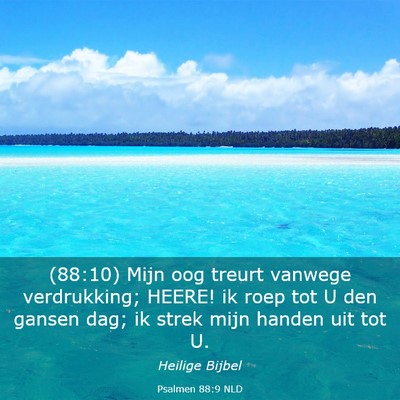 Picture 03 - Psalmen 88:9 NLD - (88:10) Mijn oog treurt vanwege verdrukking; - Bible Verse Picture