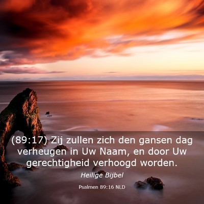 Picture 03 - Psalmen 89:16 NLD - (89:17) Zij zullen zich den gansen dag verheugen - Bible Verse Picture