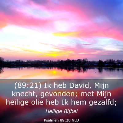 Picture 03 - Psalmen 89:20 NLD - (89:21) Ik heb David, Mijn knecht, gevonden; met - Bible Verse Picture