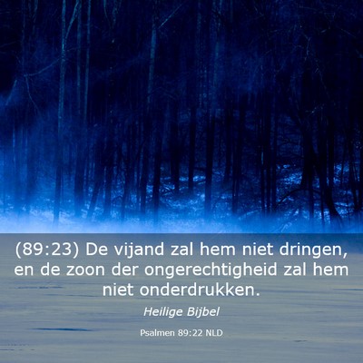Picture 03 - Psalmen 89:22 NLD - (89:23) De vijand zal hem niet dringen, en de - Bible Verse Picture