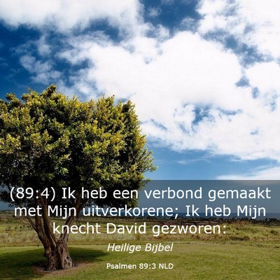 Picture 03 - Psalmen 89:3 NLD - (89:4) Ik heb een verbond gemaakt met Mijn - Bible Verse Picture