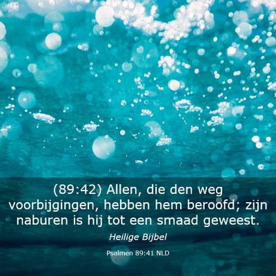 Picture 03 - Psalmen 89:41 NLD - (89:42) Allen, die den weg voorbijgingen, hebben - Bible Verse Picture