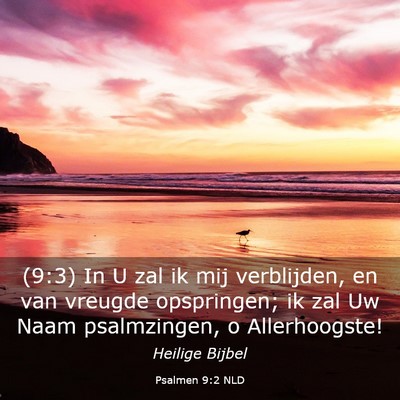 Picture 03 - Psalmen 9:2 NLD - (9:3) In U zal ik mij verblijden, en van vreugde - Bible Verse Picture