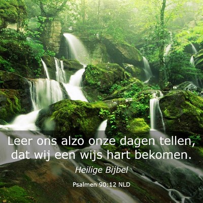 Picture 03 - Psalmen 90:12 NLD - Leer ons alzo onze dagen tellen, dat wij een wijs - Bible Verse Picture