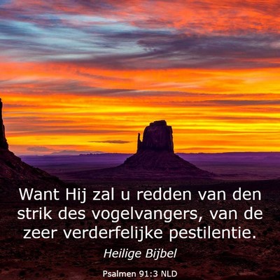 Picture 03 - Psalmen 91:3 NLD - Want Hij zal u redden van den strik des - Bible Verse Picture