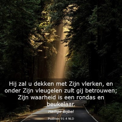 Picture 03 - Psalmen 91:4 NLD - Hij zal u dekken met Zijn vlerken, en onder Zijn - Bible Verse Picture