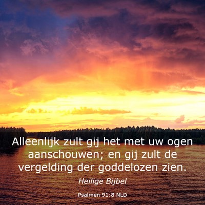 Picture 03 - Psalmen 91:8 NLD - Alleenlijk zult gij het met uw ogen aanschouwen; - Bible Verse Picture