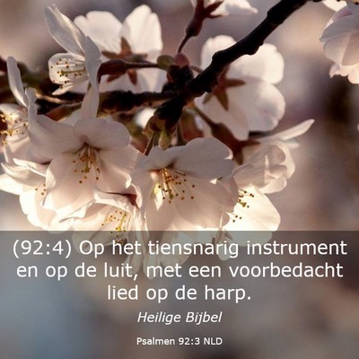 Picture 03 - Psalmen 92:3 NLD - (92:4) Op het tiensnarig instrument en op de - Bible Verse Picture