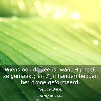 Picture 03 - Psalmen 95:5 NLD - Wiens ook de zee is, want Hij heeft ze gemaakt; - Bible Verse Picture