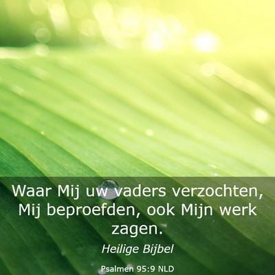 Picture 03 - Psalmen 95:9 NLD - Waar Mij uw vaders verzochten, Mij beproefden, - Bible Verse Picture