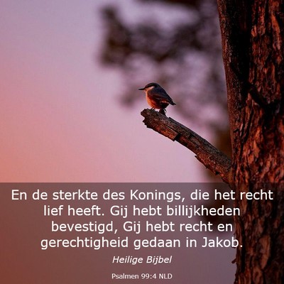 Picture 03 - Psalmen 99:4 NLD - En de sterkte des Konings, die het recht lief - Bible Verse Picture