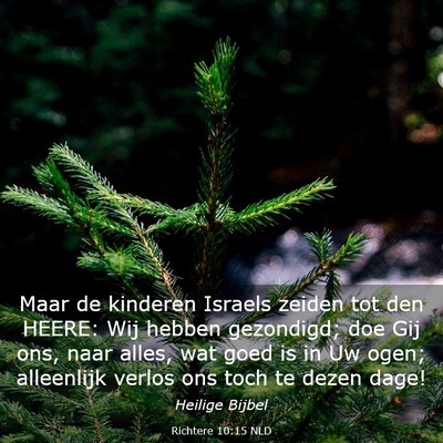 Picture 03 - Richtere 10:15 NLD - Maar de kinderen Israels zeiden tot den HEERE: - Bible Verse Picture
