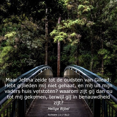 Picture 03 - Richtere 11:7 NLD - Maar Jeftha zeide tot de oudsten van Gilead: Hebt - Bible Verse Picture