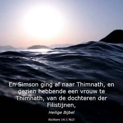 Picture 03 - Richtere 14:1 NLD - En Simson ging af naar Thimnath, en gezien - Bible Verse Picture