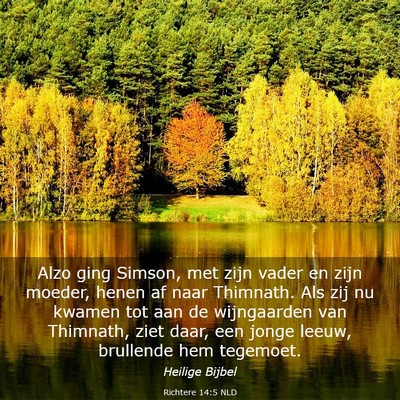 Picture 03 - Richtere 14:5 NLD - Alzo ging Simson, met zijn vader en zijn moeder, - Bible Verse Picture