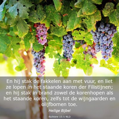 Picture 03 - Richtere 15:5 NLD - En hij stak de fakkelen aan met vuur, en liet ze - Bible Verse Picture