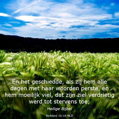 Picture 03 - Richtere 16:16 NLD - En het geschiedde, als zij hem alle dagen met - Bible Verse Picture