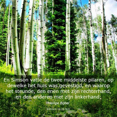 Picture 03 - Richtere 16:29 NLD - En Simson vatte de twee middelste pilaren, op - Bible Verse Picture