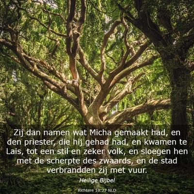 Picture 03 - Richtere 18:27 NLD - Zij dan namen wat Micha gemaakt had, en den - Bible Verse Picture