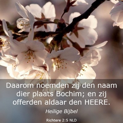 Picture 03 - Richtere 2:5 NLD - Daarom noemden zij den naam dier plaats Bochim; - Bible Verse Picture