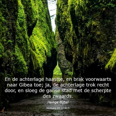 Picture 03 - Richtere 20:37 NLD - En de achterlage haastte, en brak voorwaarts naar - Bible Verse Picture