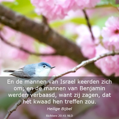 Picture 03 - Richtere 20:41 NLD - En de mannen van Israel keerden zich om; en de - Bible Verse Picture