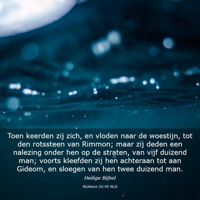 Picture 03 - Richtere 20:45 NLD - Toen keerden zij zich, en vloden naar de - Bible Verse Picture