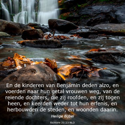 Picture 03 - Richtere 21:23 NLD - En de kinderen van Benjamin deden alzo, en - Bible Verse Picture