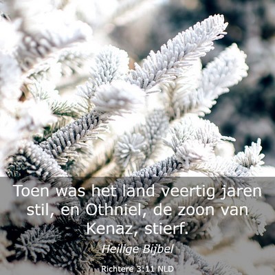 Picture 03 - Richtere 3:11 NLD - Toen was het land veertig jaren stil, en Othniel, - Bible Verse Picture