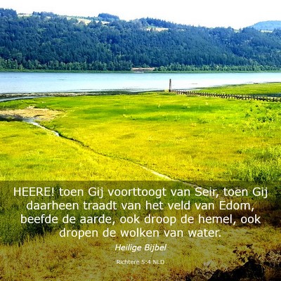 Picture 03 - Richtere 5:4 NLD - HEERE! toen Gij voorttoogt van Seir, toen Gij - Bible Verse Picture