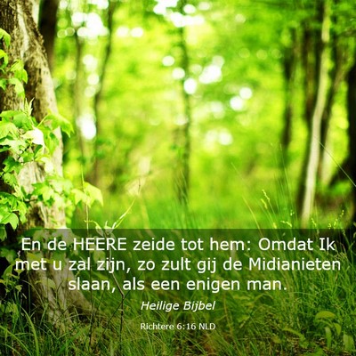 Picture 03 - Richtere 6:16 NLD - En de HEERE zeide tot hem: Omdat Ik met u zal - Bible Verse Picture