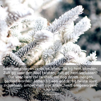Picture 03 - Richtere 6:31 NLD - Joas daarentegen zeide tot allen, die bij hem - Bible Verse Picture
