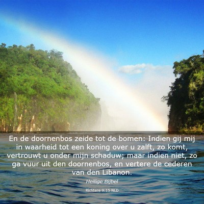 Picture 03 - Richtere 9:15 NLD - En de doornenbos zeide tot de bomen: Indien gij - Bible Verse Picture