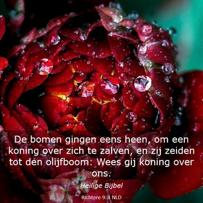 Picture 03 - Richtere 9:8 NLD - De bomen gingen eens heen, om een koning over - Bible Verse Picture