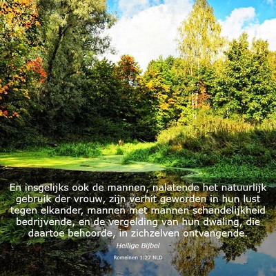 Picture 03 - Romeinen 1:27 NLD - En insgelijks ook de mannen, nalatende het - Bible Verse Picture