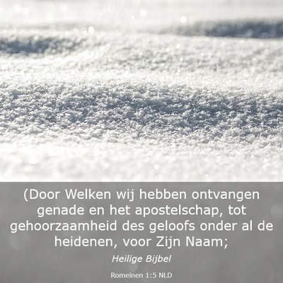 Picture 03 - Romeinen 1:5 NLD - (Door Welken wij hebben ontvangen genade en het - Bible Verse Picture
