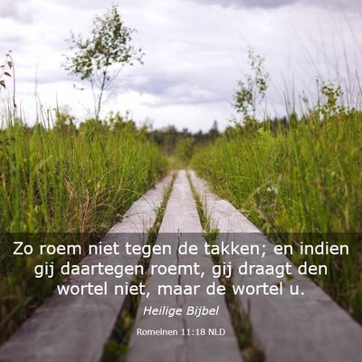 Picture 03 - Romeinen 11:18 NLD - Zo roem niet tegen de takken; en indien gij - Bible Verse Picture