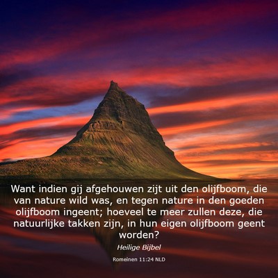 Picture 03 - Romeinen 11:24 NLD - Want indien gij afgehouwen zijt uit den - Bible Verse Picture