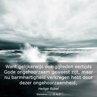 Picture 03 - Romeinen 11:30 NLD - Want gelijkerwijs ook gijlieden eertijds Gode - Bible Verse Picture