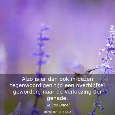 Picture 03 - Romeinen 11:5 NLD - Alzo is er dan ook in dezen tegenwoordigen tijd - Bible Verse Picture