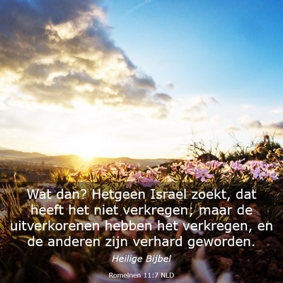 Picture 03 - Romeinen 11:7 NLD - Wat dan? Hetgeen Israel zoekt, dat heeft het niet - Bible Verse Picture