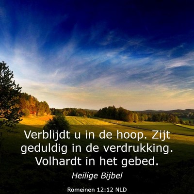 Picture 03 - Romeinen 12:12 NLD - Verblijdt u in de hoop. Zijt geduldig in de - Bible Verse Picture