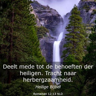 Picture 03 - Romeinen 12:13 NLD - Deelt mede tot de behoeften der heiligen. Tracht - Bible Verse Picture